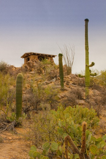 Saguaro National Park Lookout