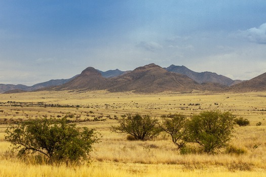 Sonoita