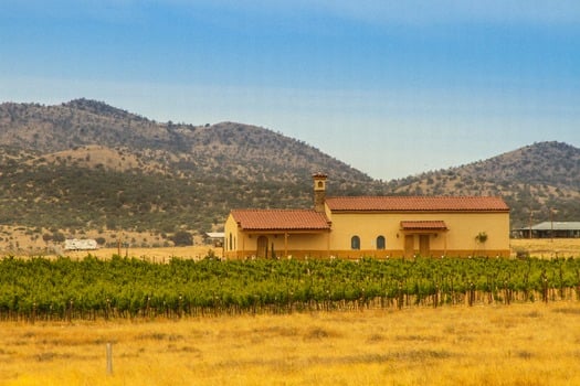 Sonoita Area Vineyards