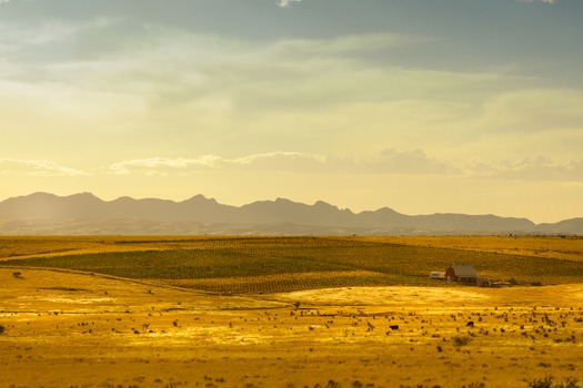 Sonoita