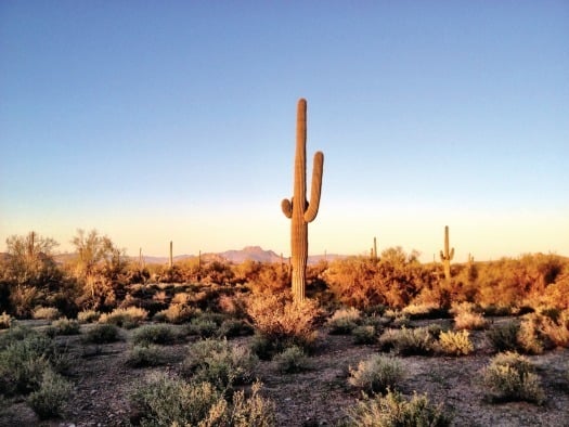 Superstition Mountain - Apache Junction - Tonto National Park