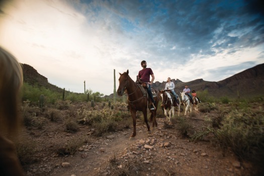 White Stallion Ranch-Horseback