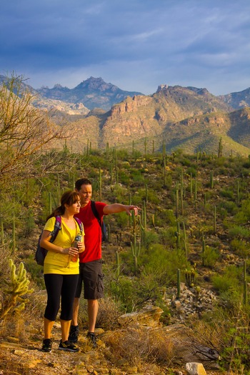 Sabino Canyon Hiking