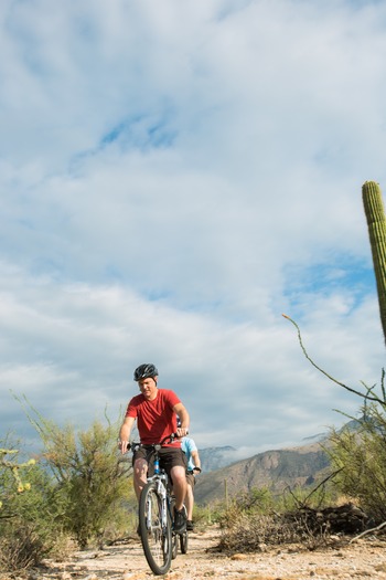 Sabino Canyon Mountain Biking