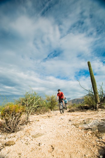 Sabino Canyon Mountain Biking