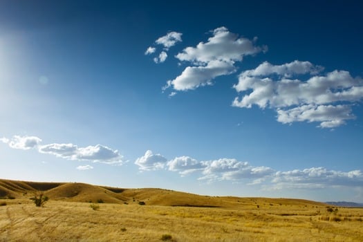 Sonoita