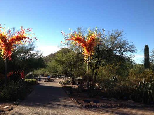 Desert Botanical Gardens