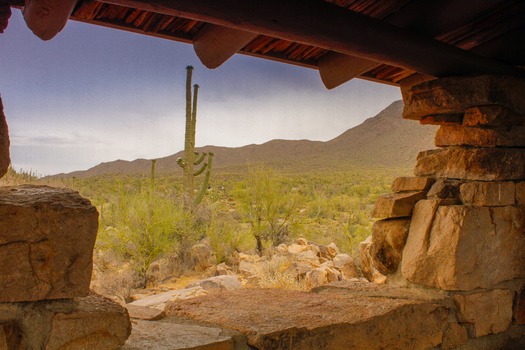 Saguaro National Park Lookout