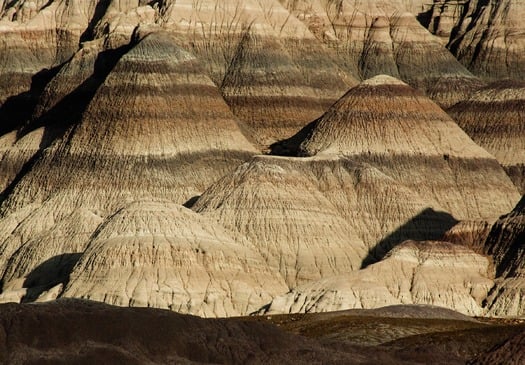 Petrified Forest National Park