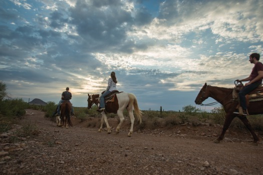 White Stallion Ranch-Horseback