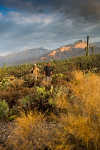 Sabino Canyon Hiking