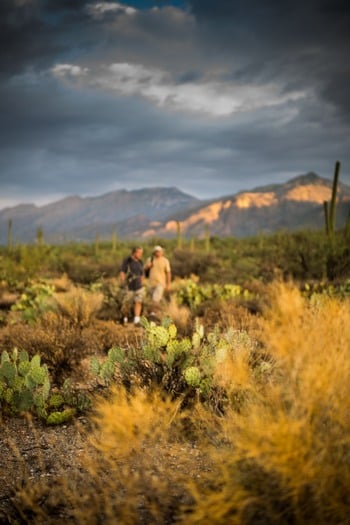 Sabino Canyon Hiking