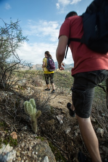 Sabino Canyon Hiking