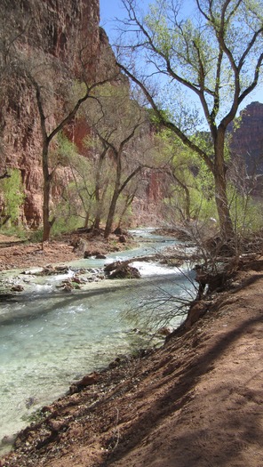 Havasupai Trail