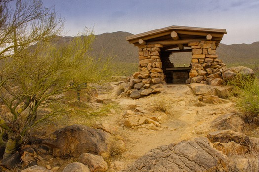 Saguaro National Park Lookout