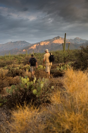 Sabino Canyon Hiking