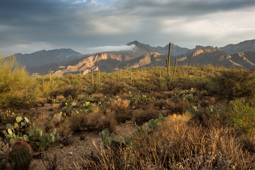 Sabino Canyon