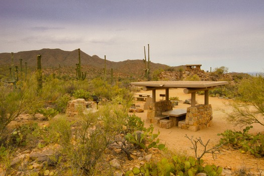 Saguaro National Park Picnic Area