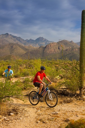 Sabino Canyon Mountain Biking