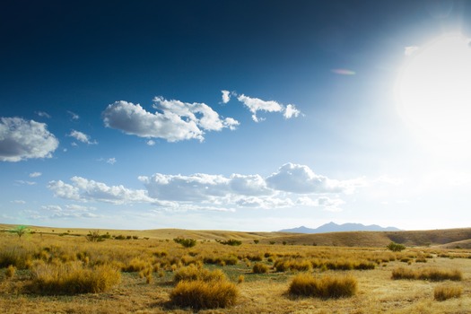 Sonoita