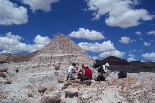 Petrified Forest National Park