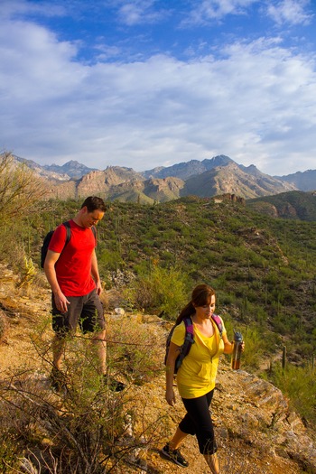 Sabino Canyon Hiking