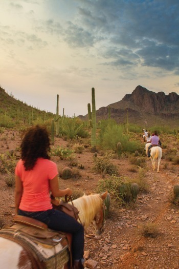 White Stallion Ranch-Horseback