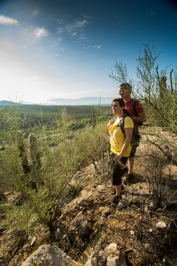 Sabino Canyon