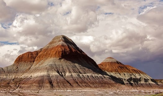 Petrified Forest National Park