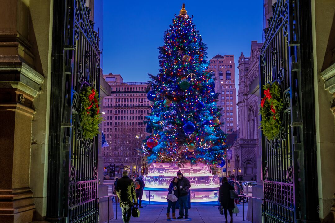 City Hall Tree