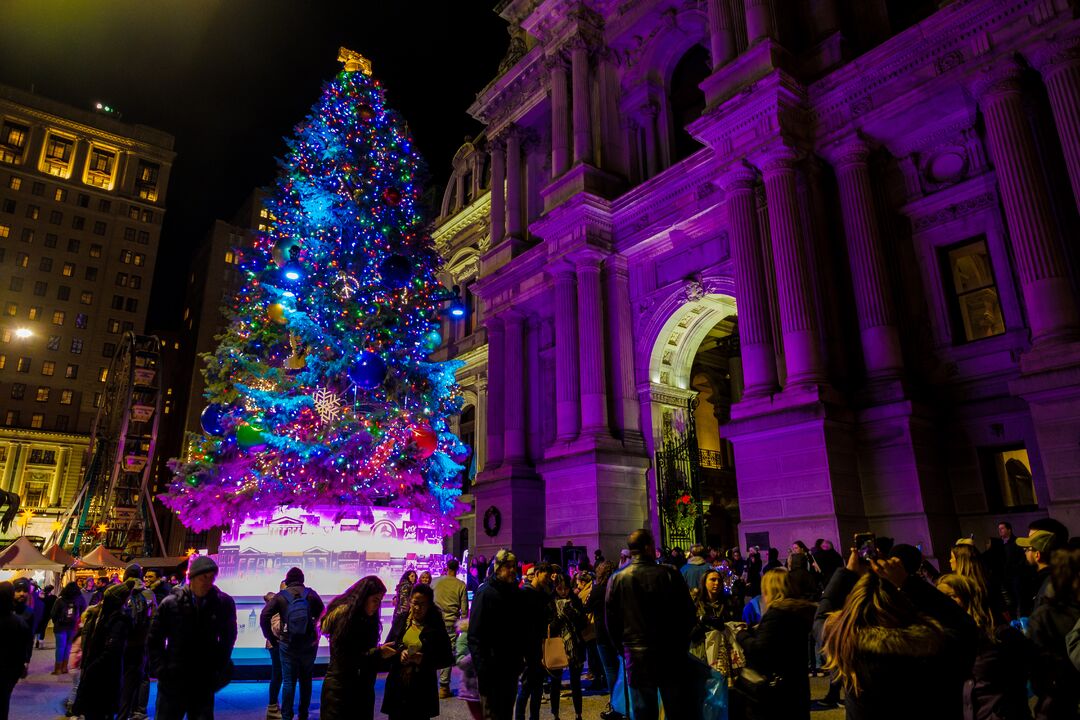 City Hall Tree