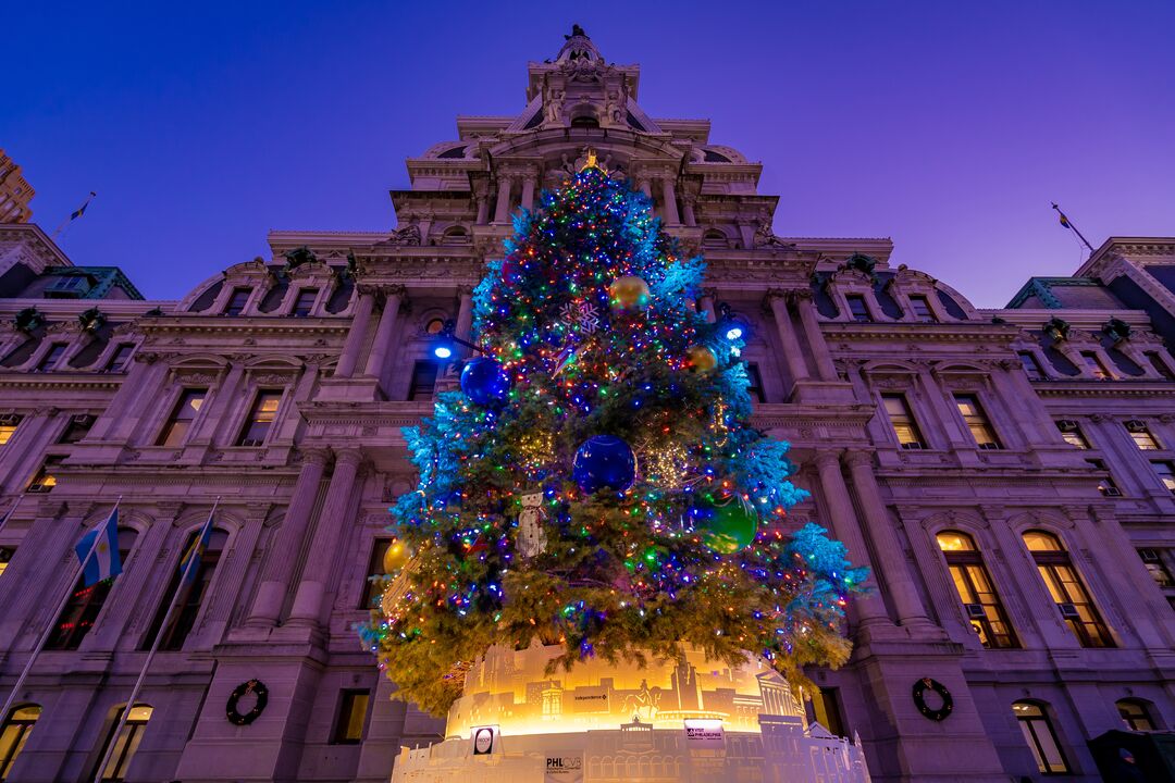 City Hall Tree