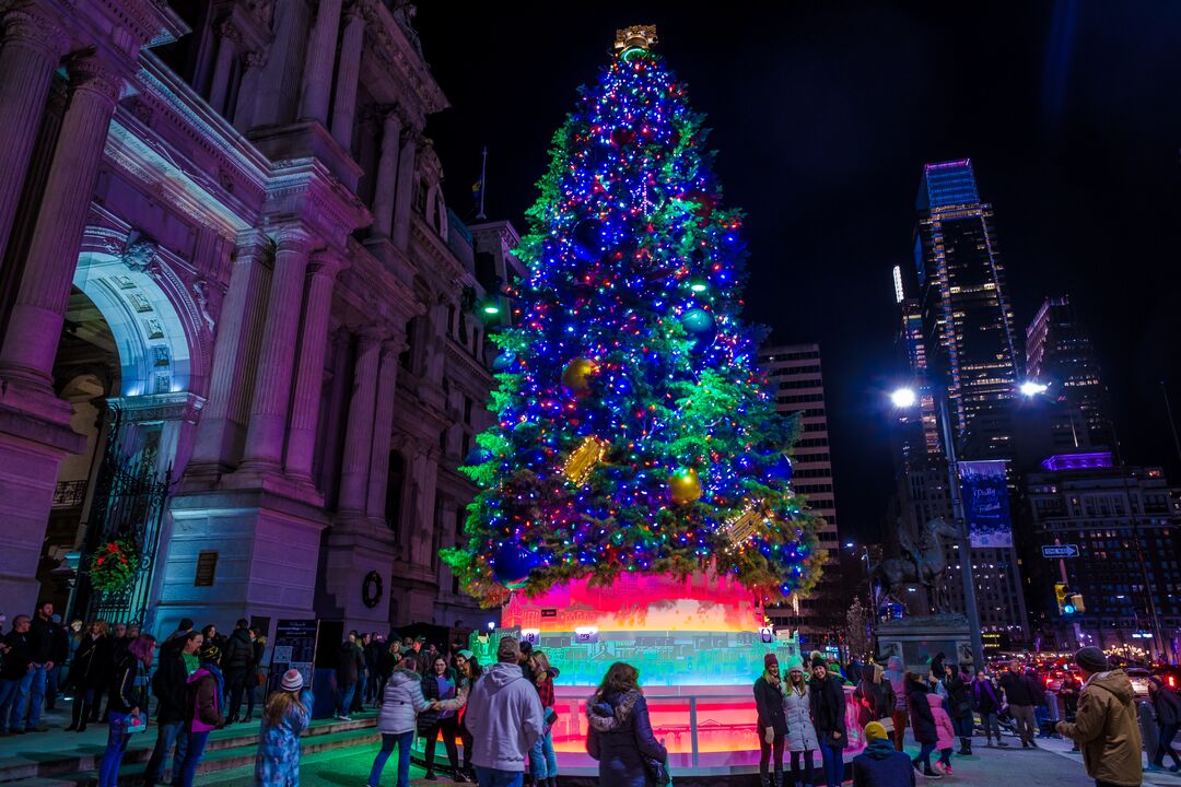 City Hall Tree