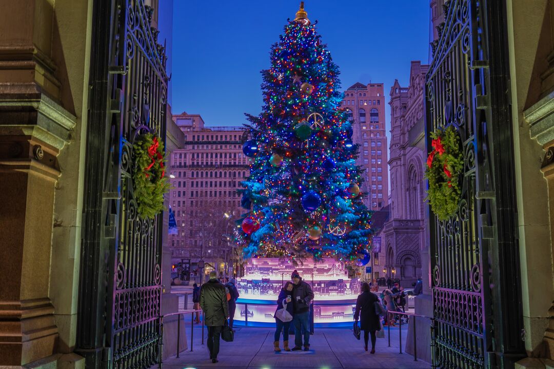 City Hall Tree