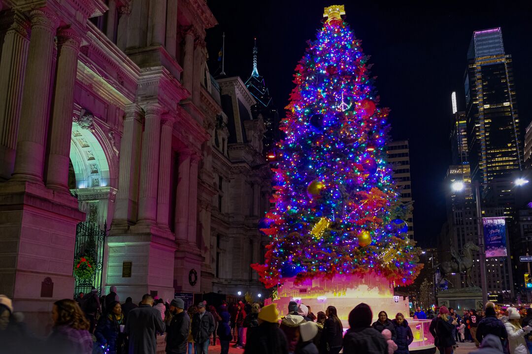 City Hall Tree