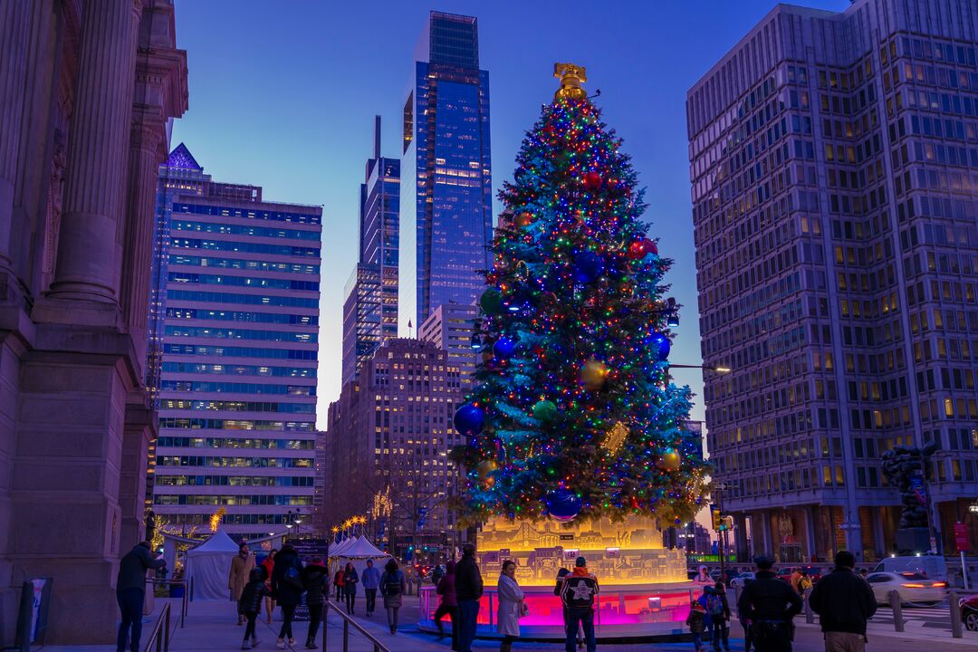 City Hall Tree