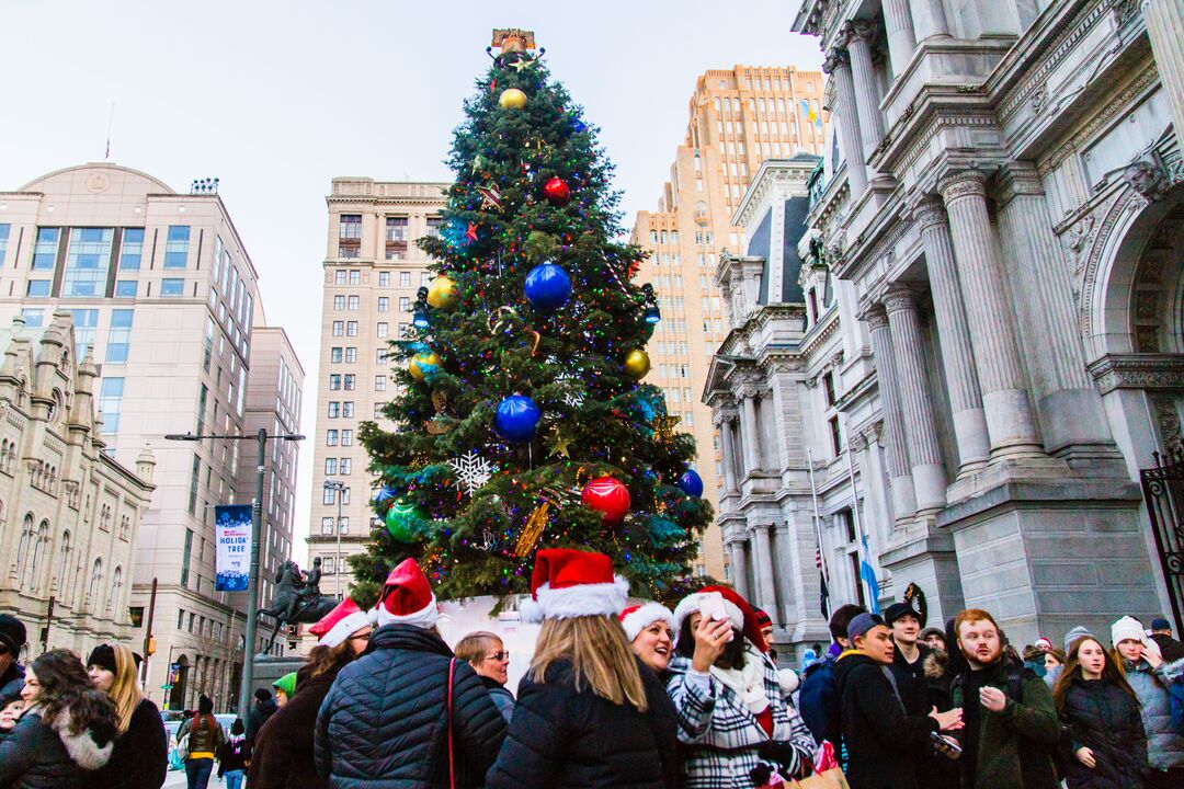 City Hall Tree