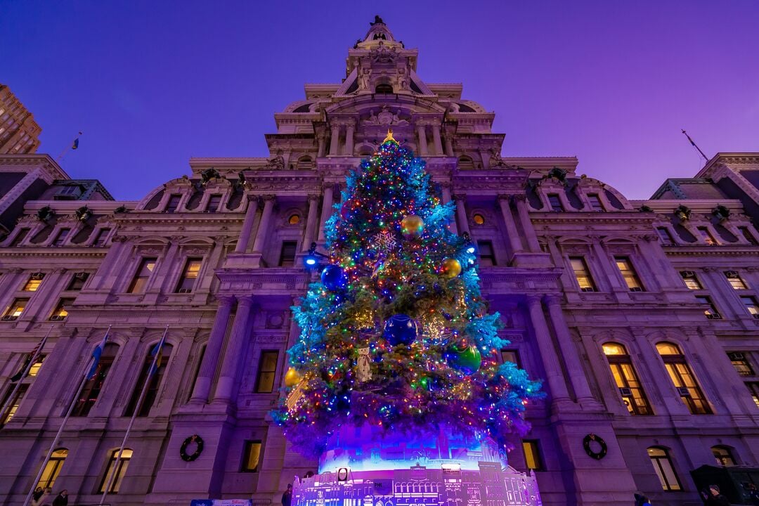 City Hall Tree