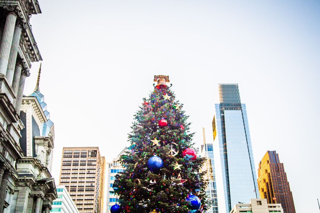 City Hall Tree