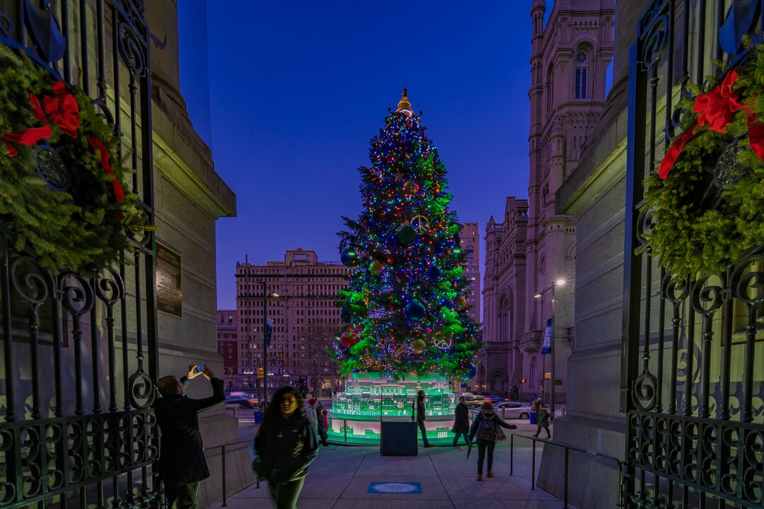 City Hall Tree