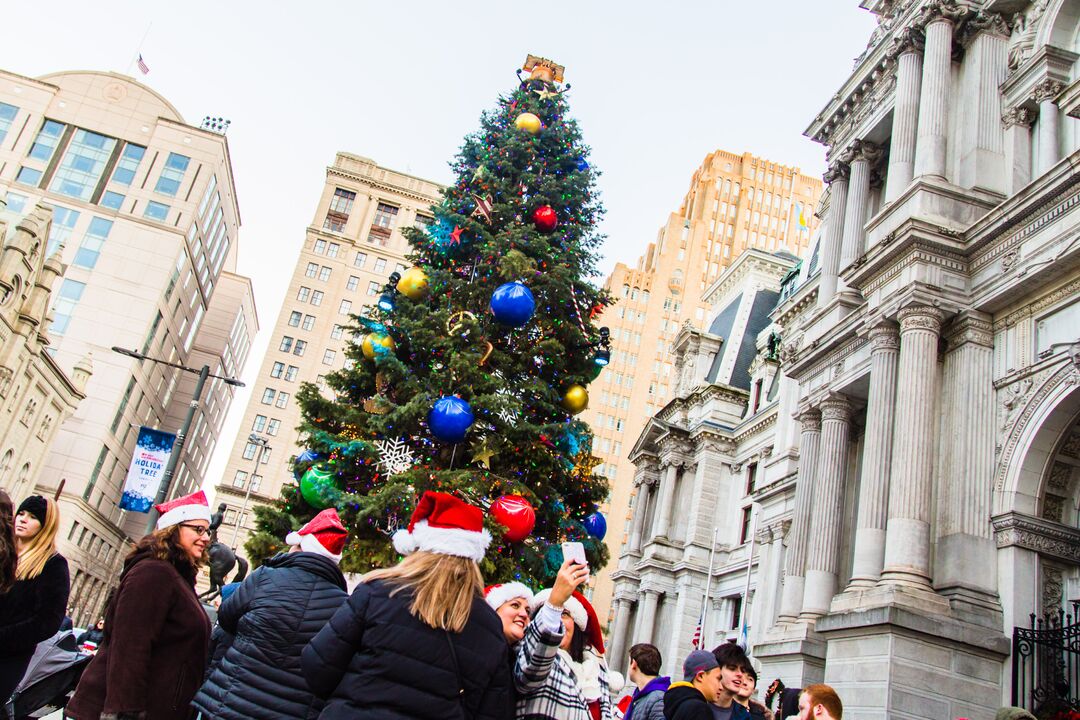 City Hall Tree