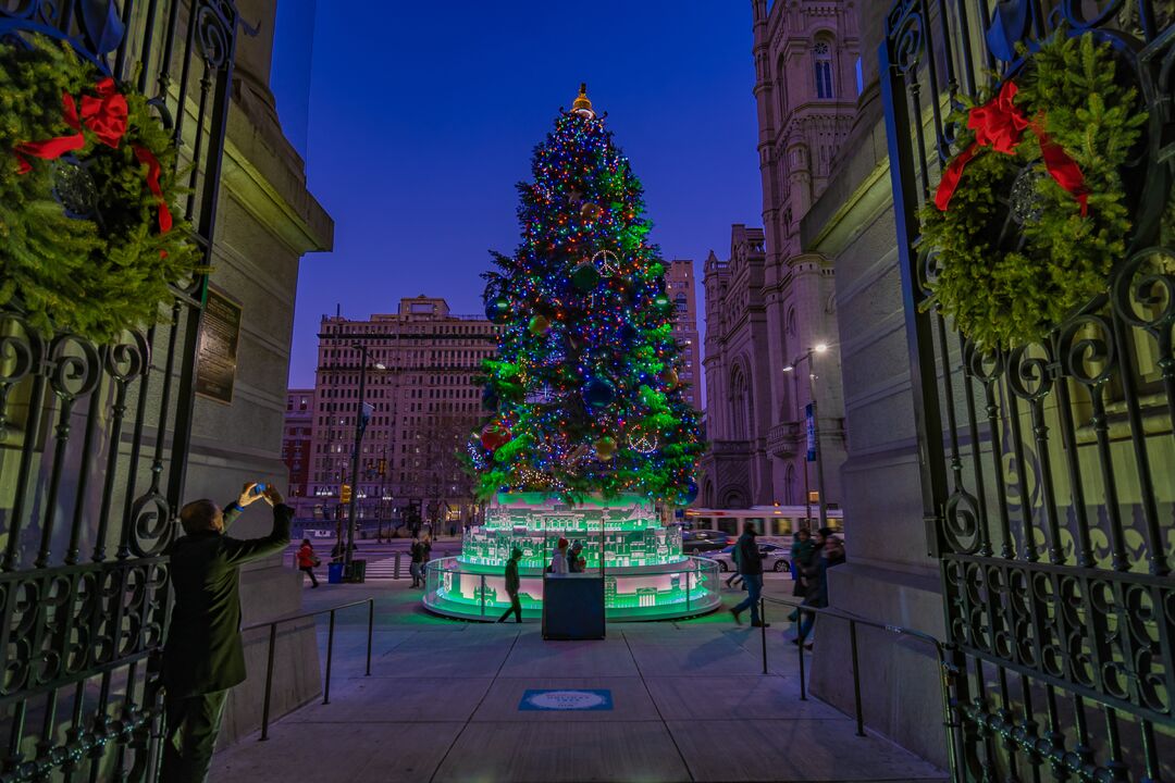 City Hall Tree