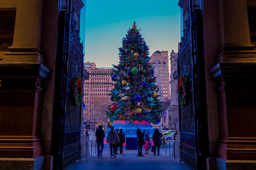 City Hall Tree