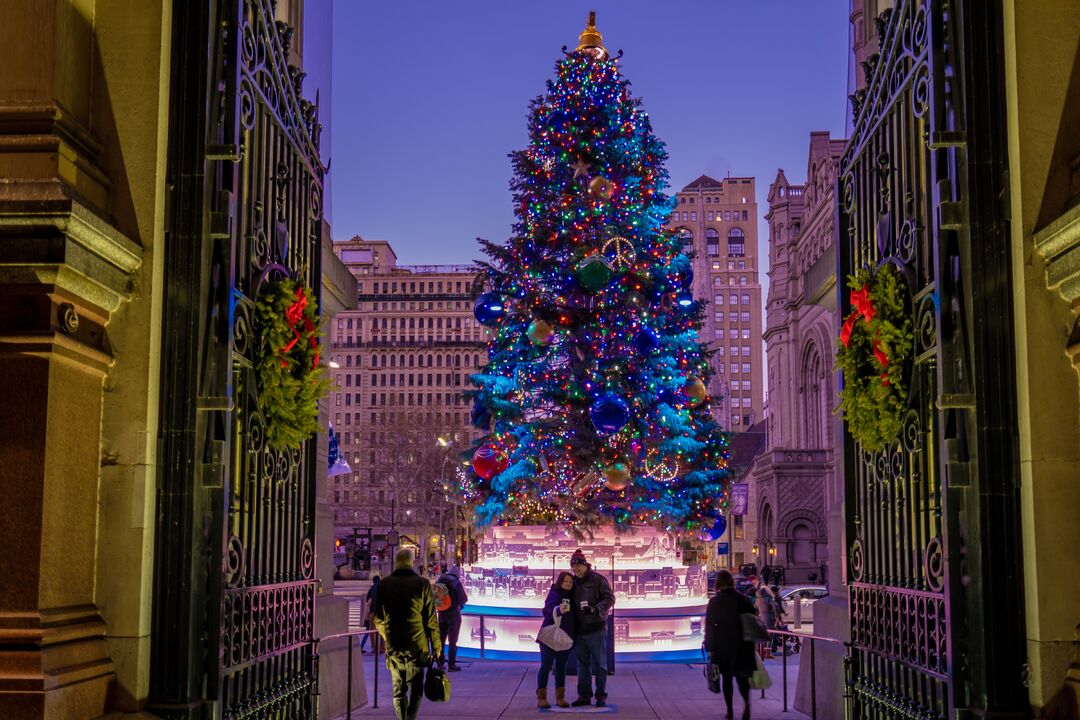 City Hall Tree