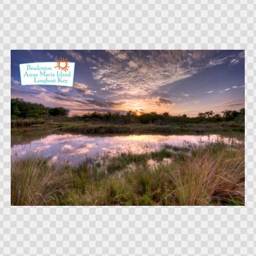 After Rain at the Preserve