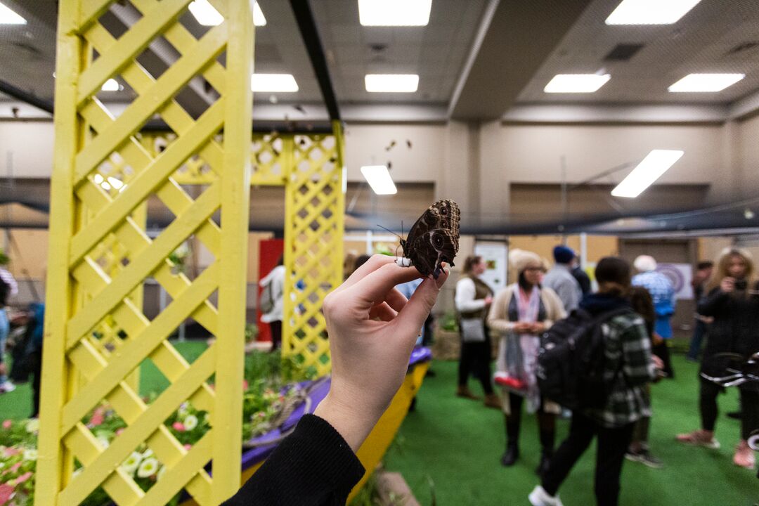 Philadelphia Flower Show