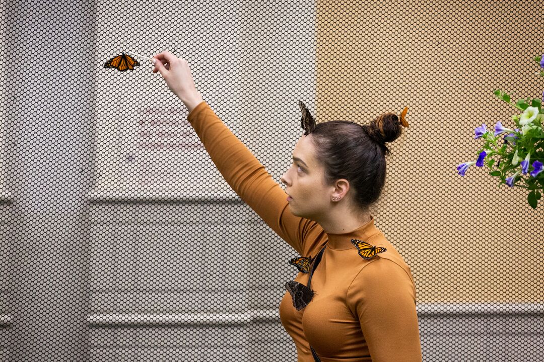Philadelphia Flower Show