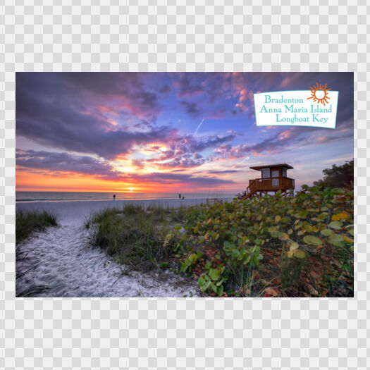 Coquina Beach Stragglers