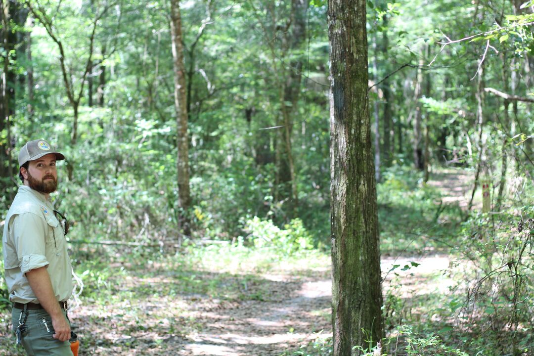 Fickett Hammock Preserve Tour