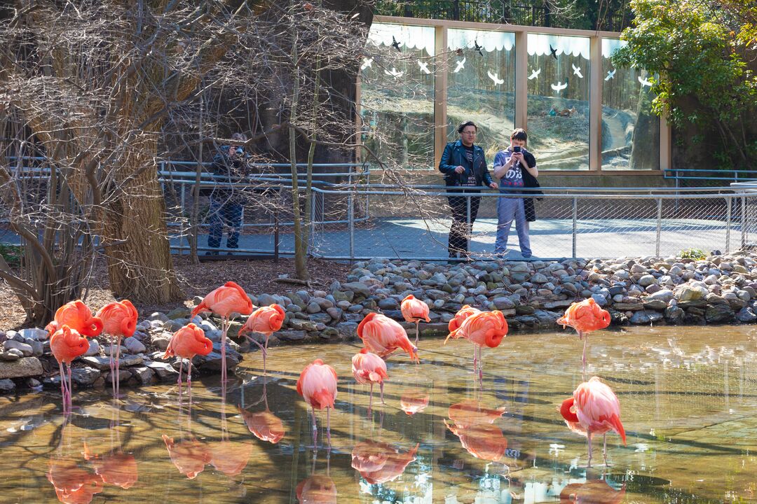 Philadelphia Zoo